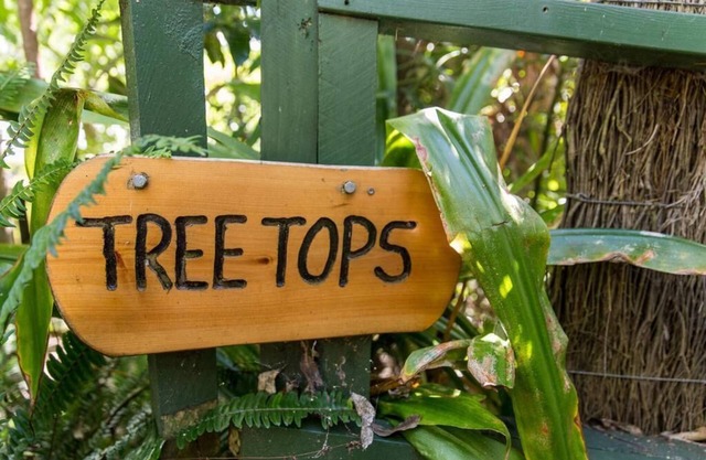 Palm Beach Bungalows: Treetops