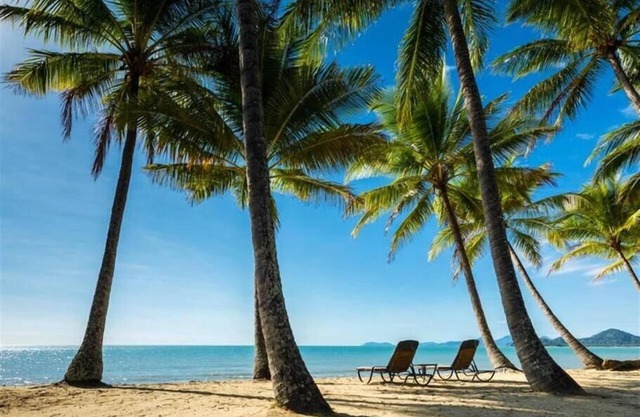 Palm Cove Studio Apartments