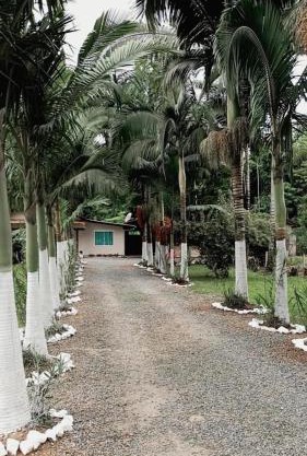 Palmenhaus