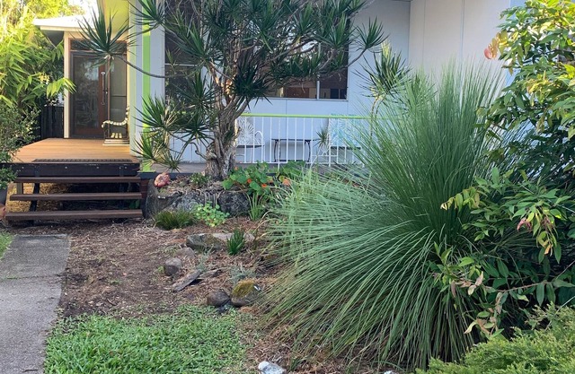 Pandanus...live like a local.