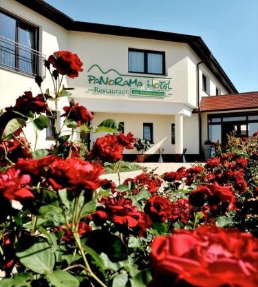 Panorama Hotel am Frankenstein