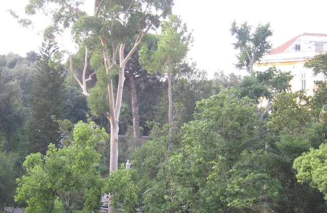 Panoramic attic on Gussone Park