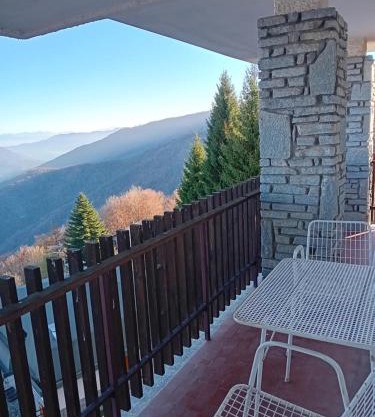 Panoramic Eagle