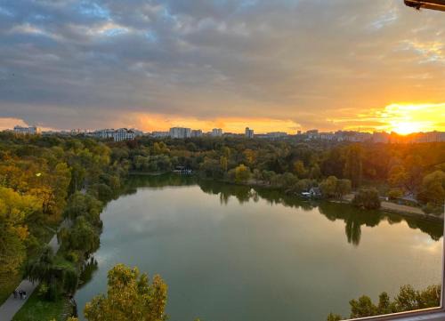 Panoramic Lake View