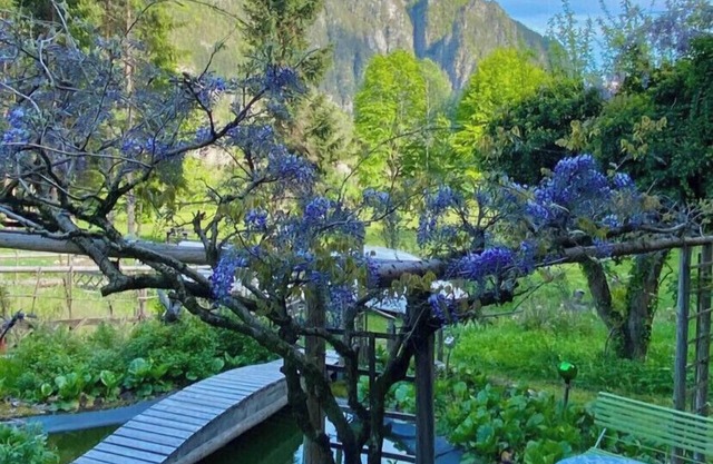 Paola's Country House - Vanoi Primiero Dolomiti Trentino