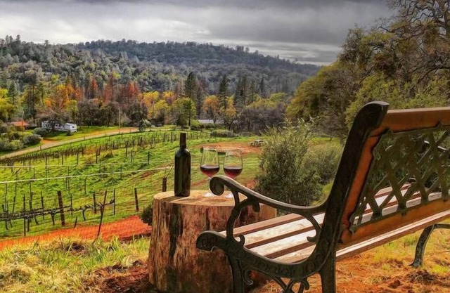 Papillon Cellars