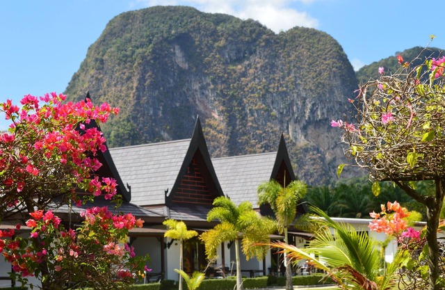 Paradis Vert