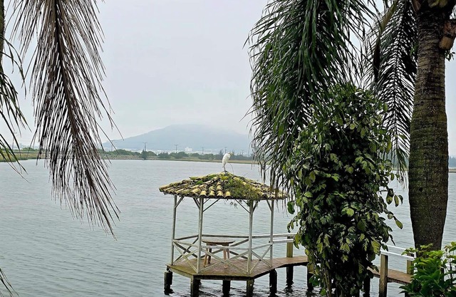Paradise House between the Lagoon and the Sea in Laguna/SC that accepts pets.