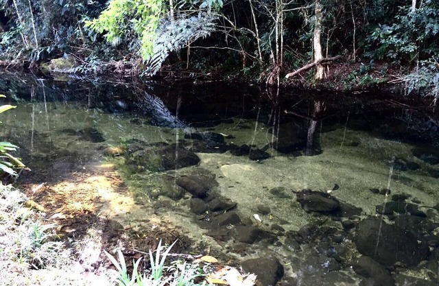 Paradise in the Sierra spectacular site in the midst of nature, crystal clear river