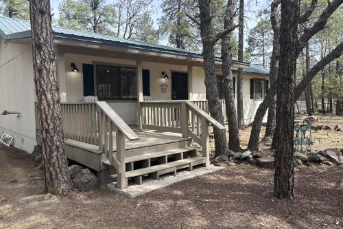 Paradise in the Pines