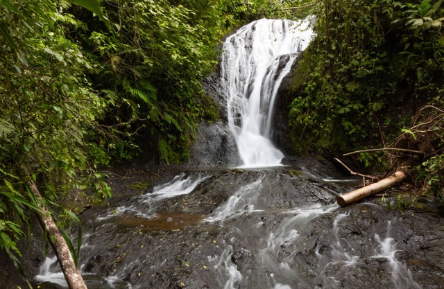 Paradise. Privacy, Priceless. DONT MISS THIS! Just Read Our Reviews & BK 2day!