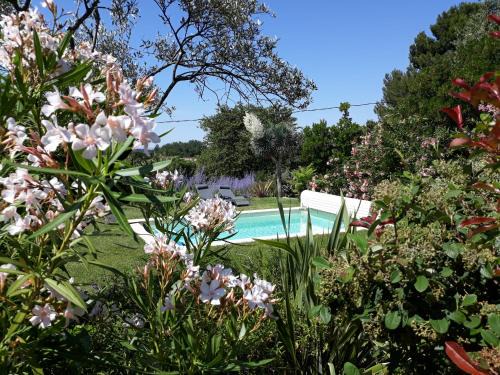 Parfums de Provence "L'Oliveraie" - Piscine chauffée & Spa