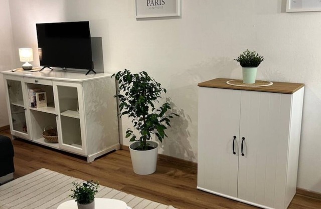 Paris" apartment