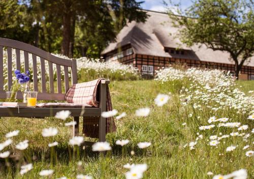 Park am See x Nattika Ayurveda, HOTEL HEALTH SPIRIT
