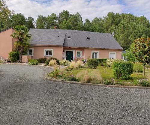 Pascal et Domi CHAMBRES "l'oasis des pins"