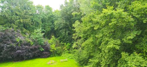 Pause nature
