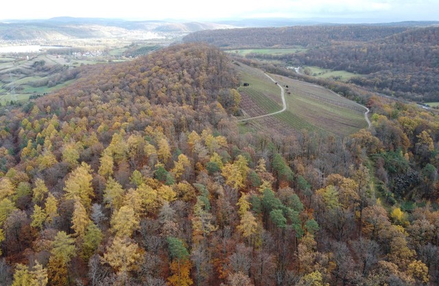 Pausenhof "zweite-heimat" #wiese