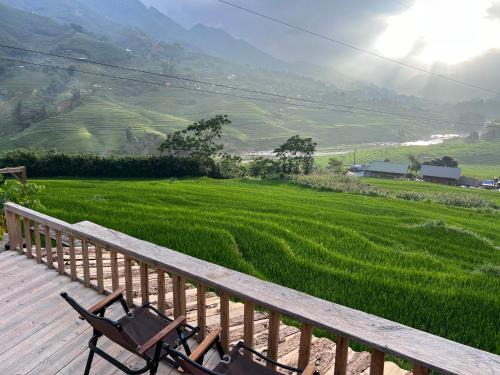 Pavi garden