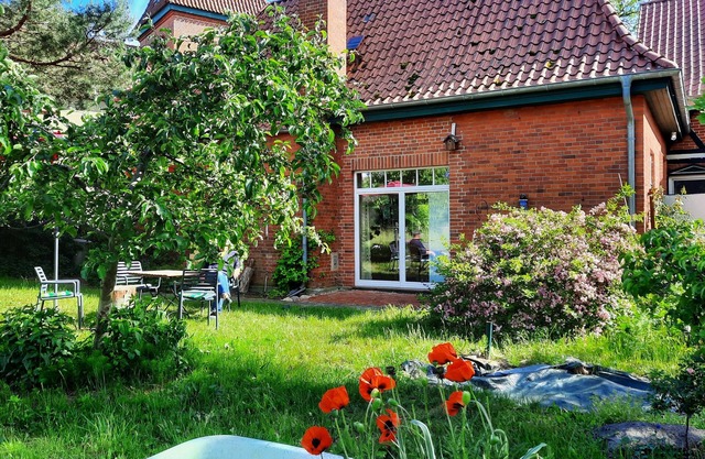 Peace and space of the Elbe landscape on the edge of Wendland