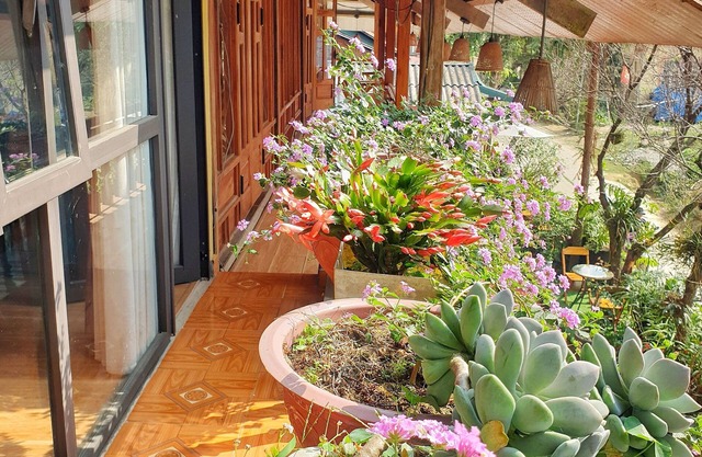 Peace Home