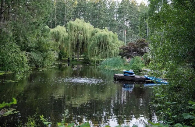 Peaceful 1 BR Hideaway on 1 Acre w/Pond, Near Ferry, Airport & Nature