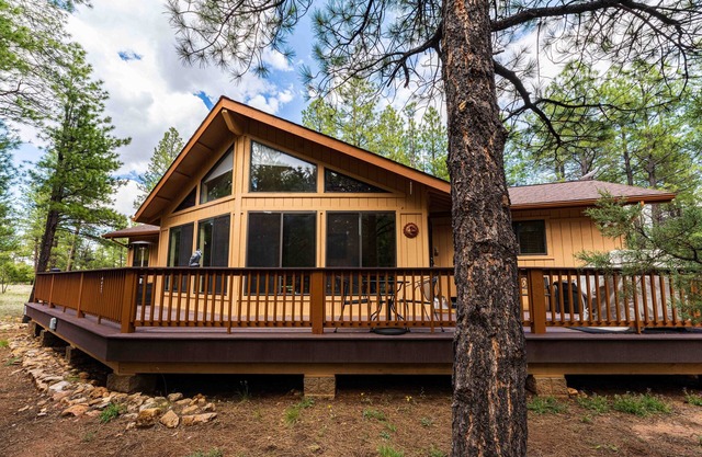 Peaceful cabin retreat nestled in the Pines. w/StarLink!
