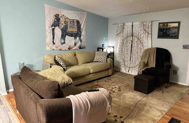 Peaceful cabin with fireplace, 5 minutes from the springs!