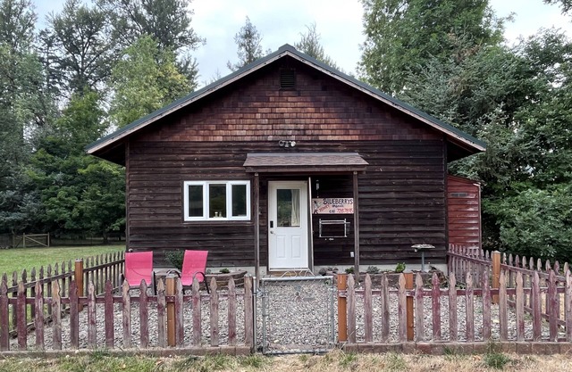 Peaceful Cabin, Wood-fired sauna, grill by creek, work remote