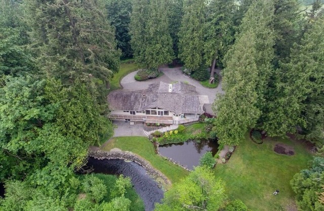 Peaceful Forest Retreat with Mount Rainier Views