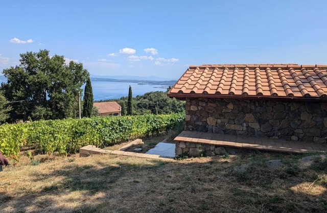 Peaceful getaway in the Italian countryside, surrounded by vineyards