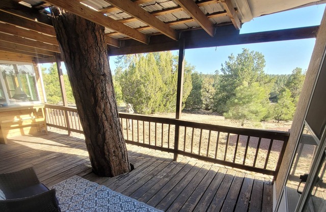 Peaceful Guest Suite Amongst The Tall Pines! Gaze at the stars from the hot tub!