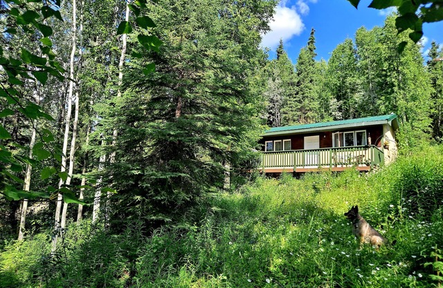 Peaceful Hillside Refuge to Enjoy Aurora