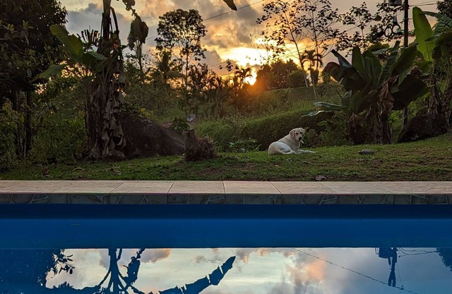 Peaceful jungle retreat close to beaches, activities and restaurants