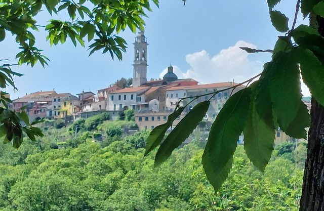 Peaceful Ligurian self-catering country cottage