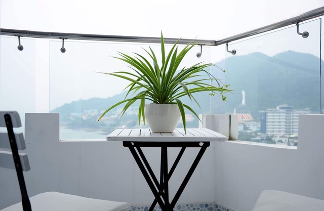 Peaceful oasis for a sweet escape in Vung Tau