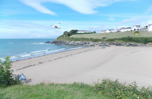Peaceful Orchid Cottage - 4 miles from unspoilt beaches Children and Dogs welcom