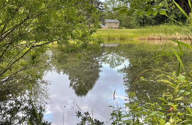 Peaceful Port Bay retreat for fall or holiday stay