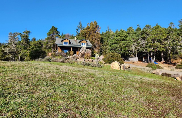Peaceful Redwood Hollow is large, clean and pet friendly and with room to roam!n