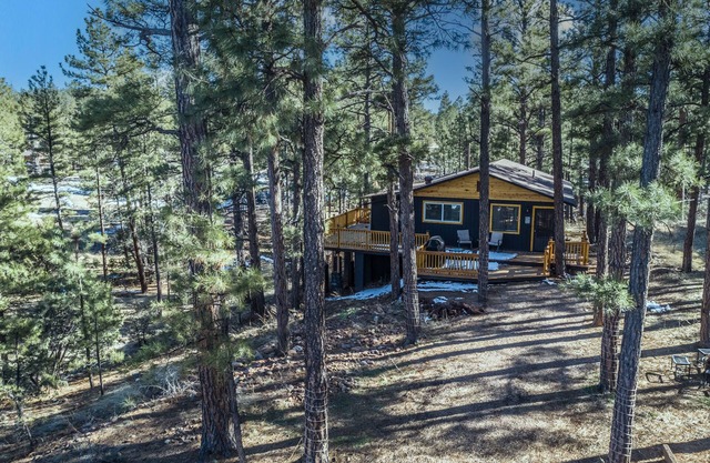 Peaceful Show Low Cabin in the pines! 3 min to the lake!