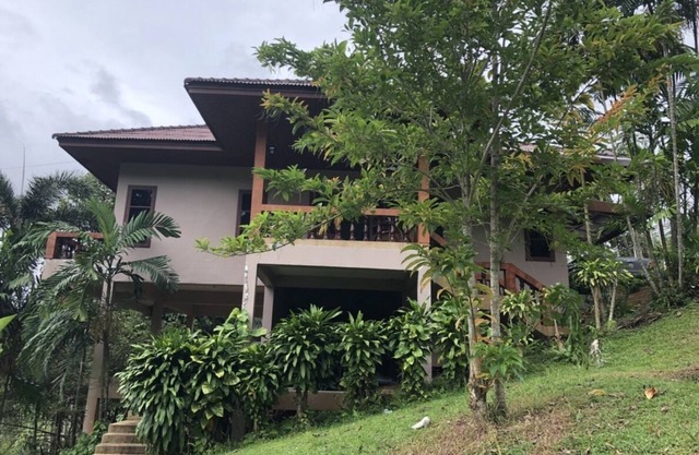 Peaceful vacation house near Patong beach