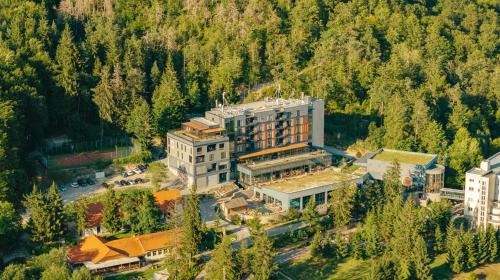 Peakture Hotel Balvanyos