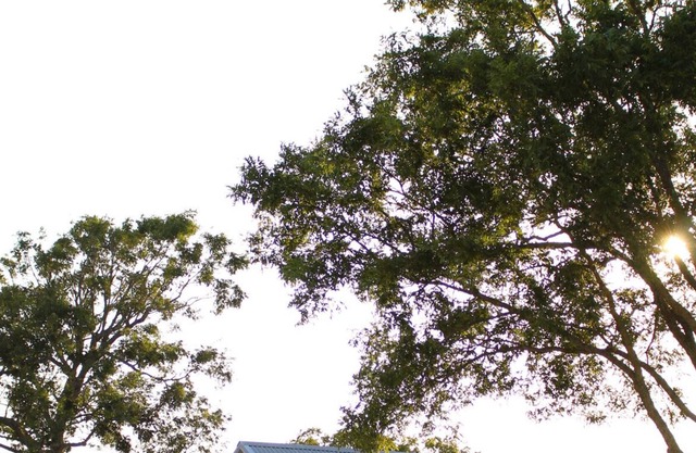 Pecan Tree House - Short drive to Round Top