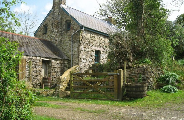 Penfeidr Newydd, Newport