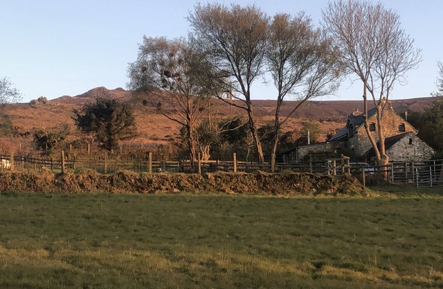 PENFEIDR NEWYDD, pet friendly in Newport, Pembrokeshire