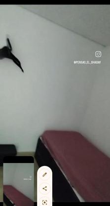 Pensão masculina El Shaday