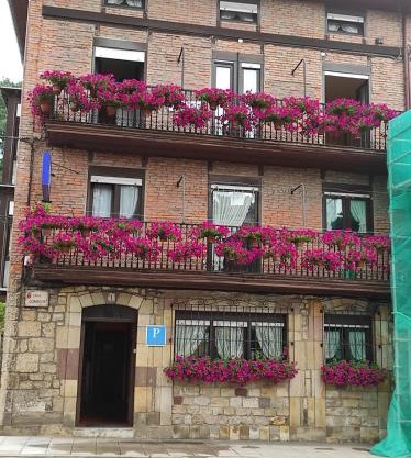 Pensión Rosa