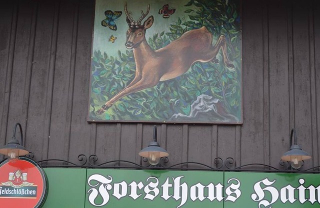 Pension Forsthaus Hain - Double room Cat. A