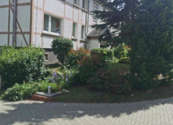 Pension Harzbaude Susanne
