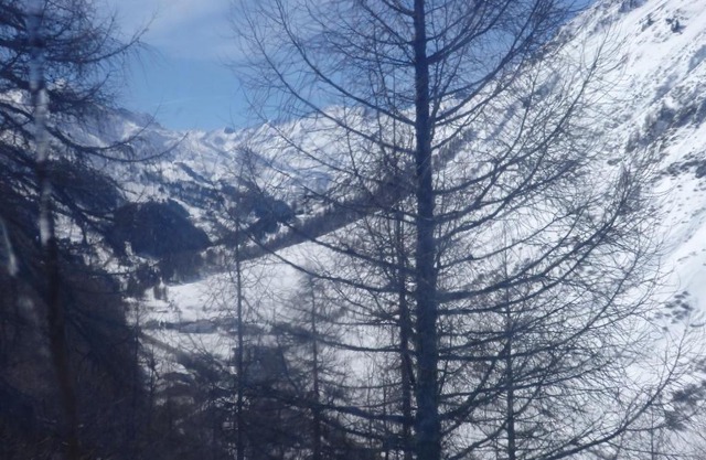 Pension Kupfer