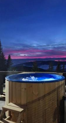 Pensiunea Alpin SPA